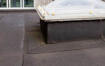 disadvantages of Mains Of Balgavies flat roofs