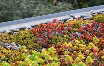 the cost of Mains Of Balgavies green roof installation