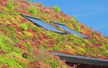 Mains Of Balgavies living roof systems