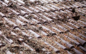 Mains Of Balgavies roof cleaning companies